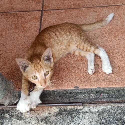 สมาชิกหมายเลข 6910166