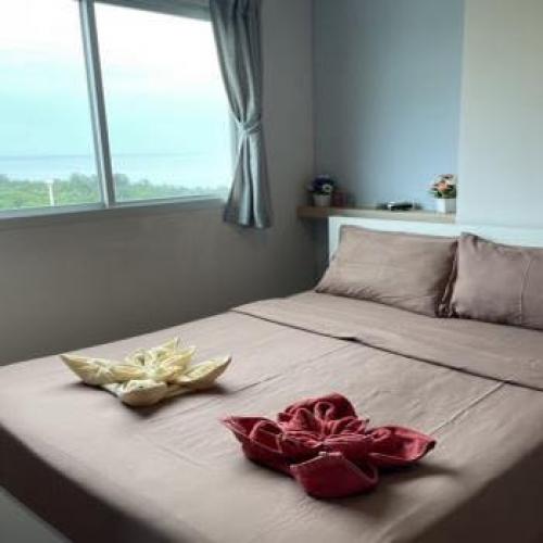 สมาชิกหมายเลข 6264176