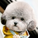 สมาชิกหมายเลข 4074730