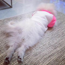 สมาชิกหมายเลข 1139511