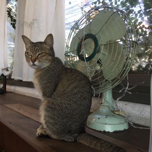 โซวย่งย้ง82