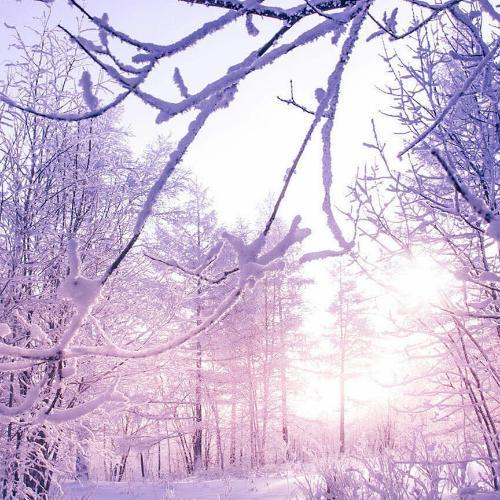 สมาชิกหมายเลข 2145660