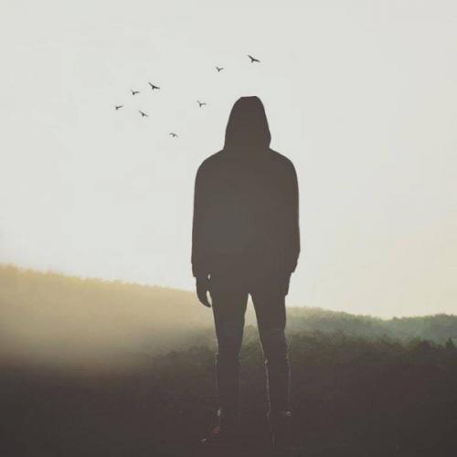 สมาชิกหมายเลข 5245002