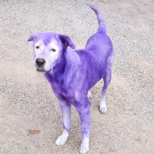 สมาชิกหมายเลข 5429026