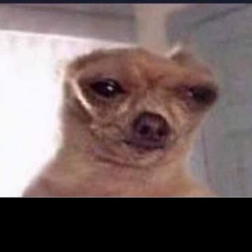 สมาชิกหมายเลข 5505968