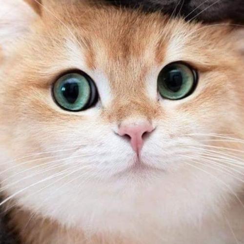 สมาชิกหมายเลข 5579647