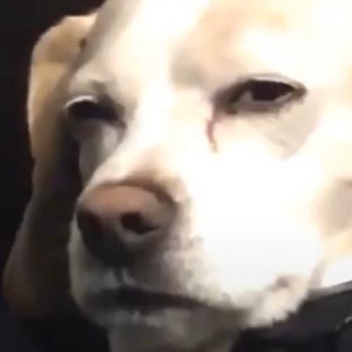 สมาชิกหมายเลข 5674573