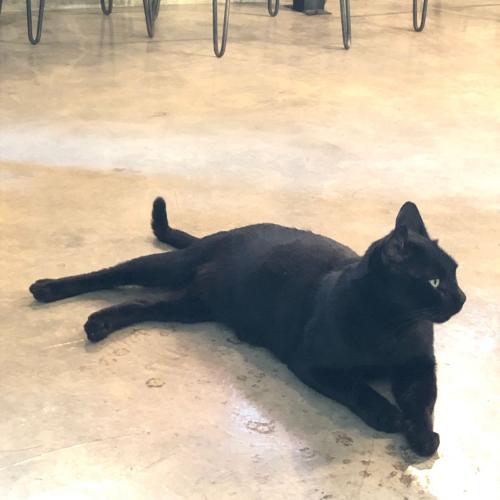 สมาชิกหมายเลข 5796527