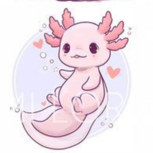 สมาชิกหมายเลข 6255075