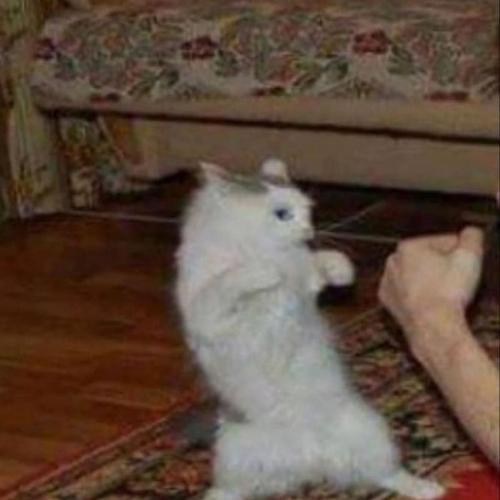 สมาชิกหมายเลข 6910384