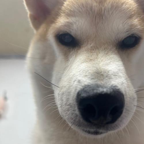 สมาชิกหมายเลข 4781501