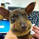 สมาชิกหมายเลข 4075381