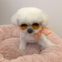 สมาชิกหมายเลข 4519050