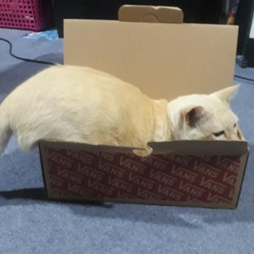 สมาชิกหมายเลข 2541392