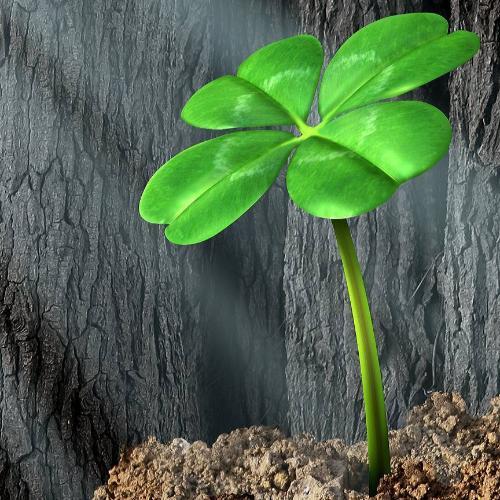 สมาชิกหมายเลข 3971380