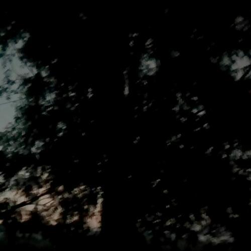 สมาชิกหมายเลข 6255312