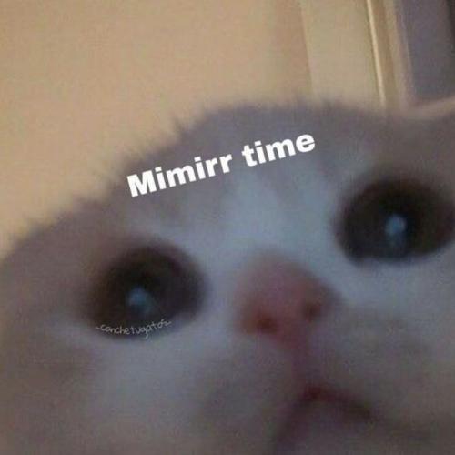 สมาชิกหมายเลข 6255806