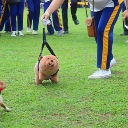 สมาชิกหมายเลข 1731896