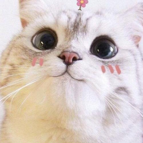 สมาชิกหมายเลข 6909027