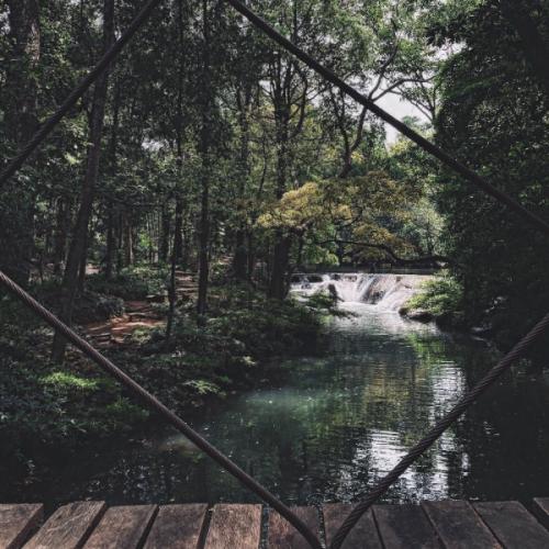 สมาชิกหมายเลข 6911362