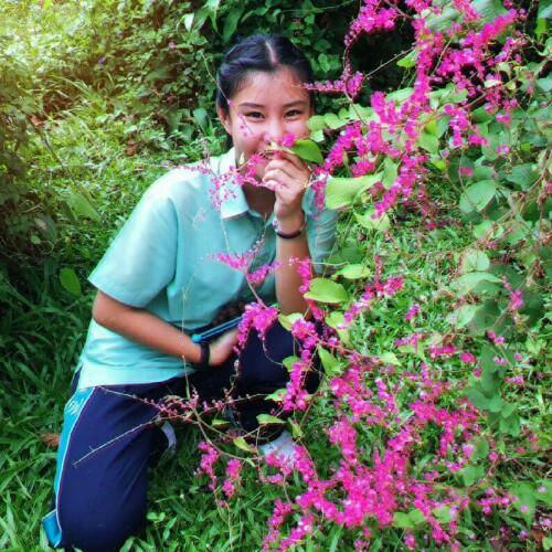 สมาชิกหมายเลข 4855460