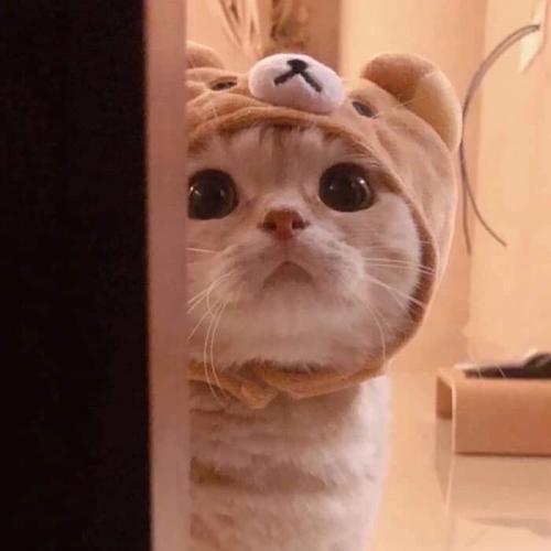 สมาชิกหมายเลข 3131920