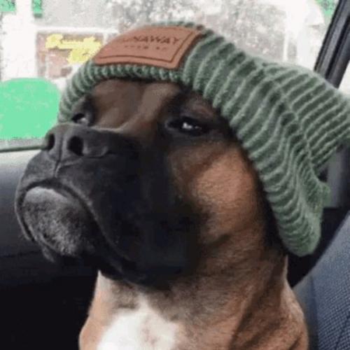 สมาชิกหมายเลข 5488038