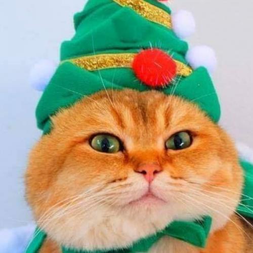 สมาชิกหมายเลข 5675834