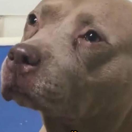 สมาชิกหมายเลข 6255867