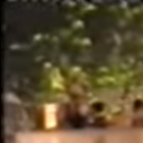 สมาชิกหมายเลข 6256239