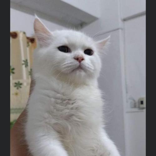 สมาชิกหมายเลข 5208794