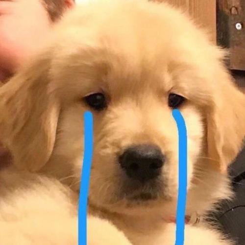 สมาชิกหมายเลข 7665438