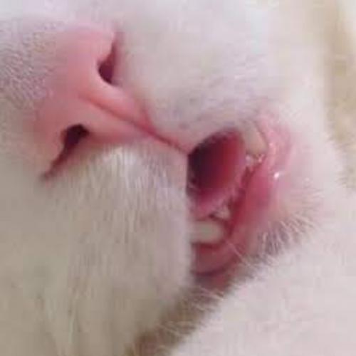 สมาชิกหมายเลข 7675556