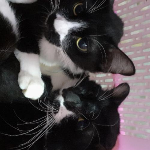 สมาชิกหมายเลข 7675574