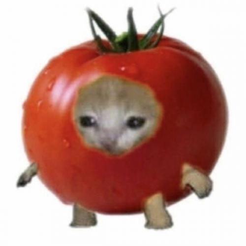 สมาชิกหมายเลข 6819630