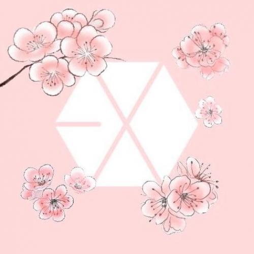 สมาชิกหมายเลข 4519480