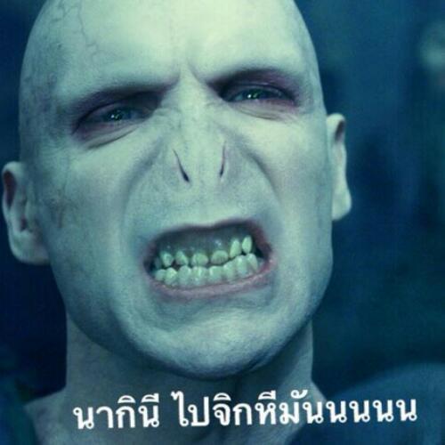 สมาชิกหมายเลข 4475387