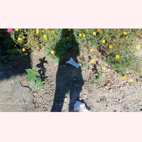 สมาชิกหมายเลข 4760713