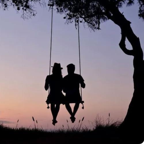 สมาชิกหมายเลข 2811118