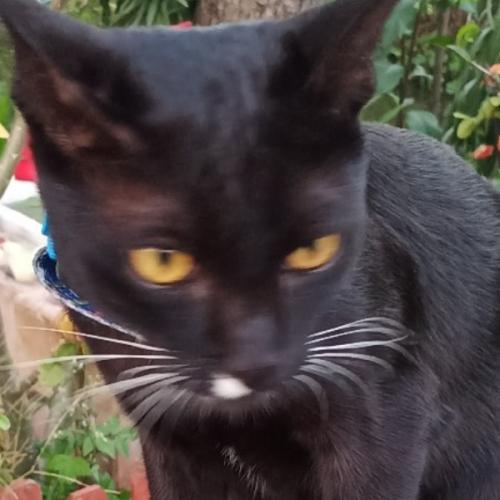 สมาชิกหมายเลข 3739938