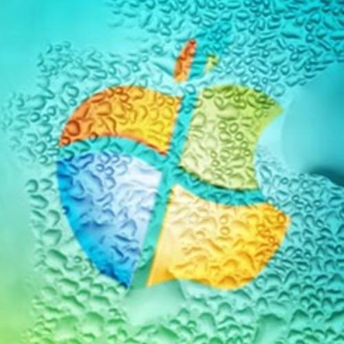 สมาชิกหมายเลข 5129583