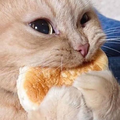 สมาชิกหมายเลข 6913558