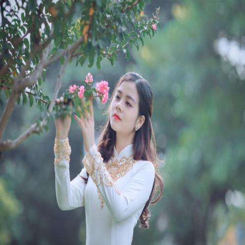 สมาชิกหมายเลข 7676290