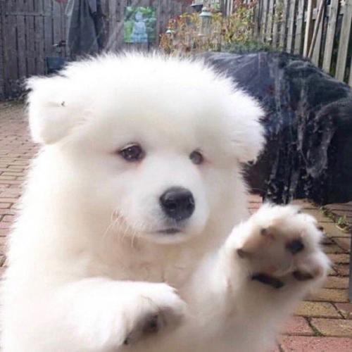 สมาชิกหมายเลข 1875422