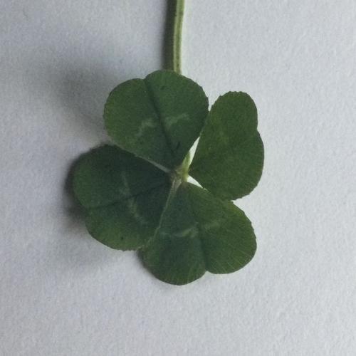 สมาชิกหมายเลข 8418253