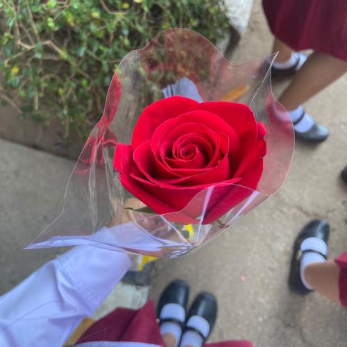 สมาชิกหมายเลข 8420616