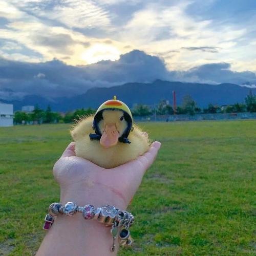 สมาชิกหมายเลข 8622664