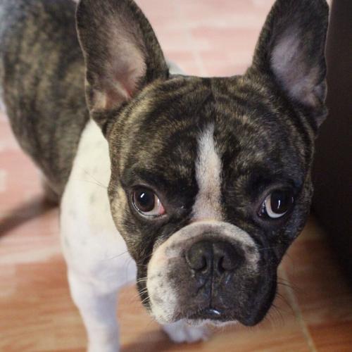 สมาชิกหมายเลข 3803456