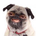 สมาชิกหมายเลข 4857052