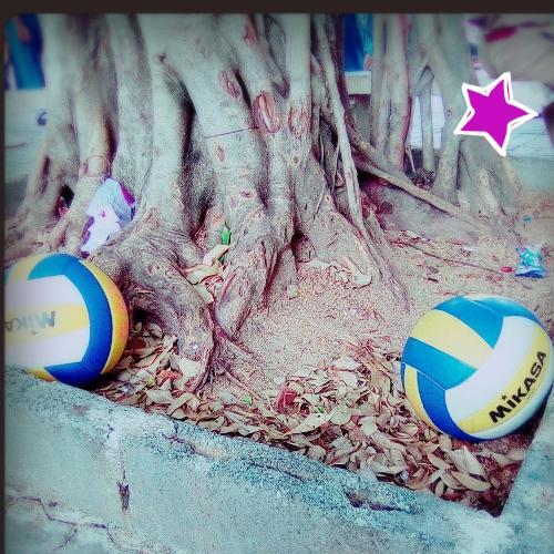 สมาชิกหมายเลข 4857067